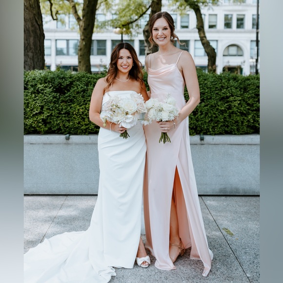 Fame & Partners Pale Pink Long Gown - for tall girls! - Picture 3 of 4